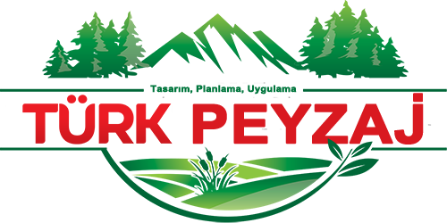 Türk Peyzaj