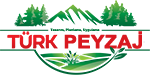 Türk Peyzaj